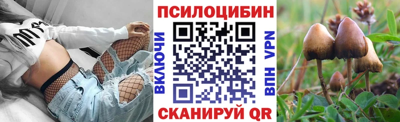 Псилоцибиновые грибы Psilocybine cubensis  Динская 